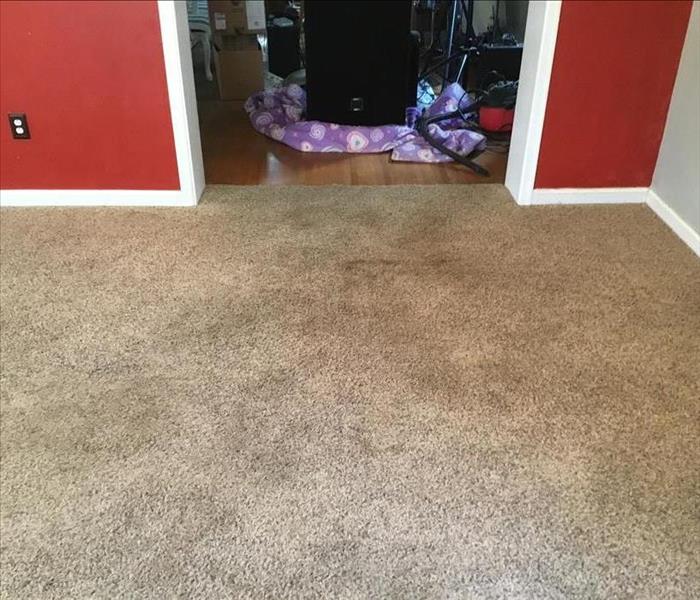 house carpet for sale